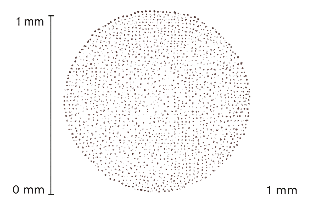 Visualization of 6,100 cesium atoms trapped by optical tweezers — Caltech quantum breakthrough 2025